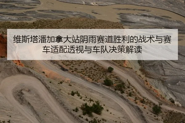 维斯塔潘加拿大站阴雨赛道胜利的战术与赛车适配透视与车队决策解读